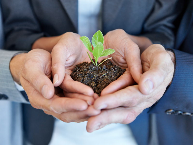 Nurturing growth with a plant in the hands